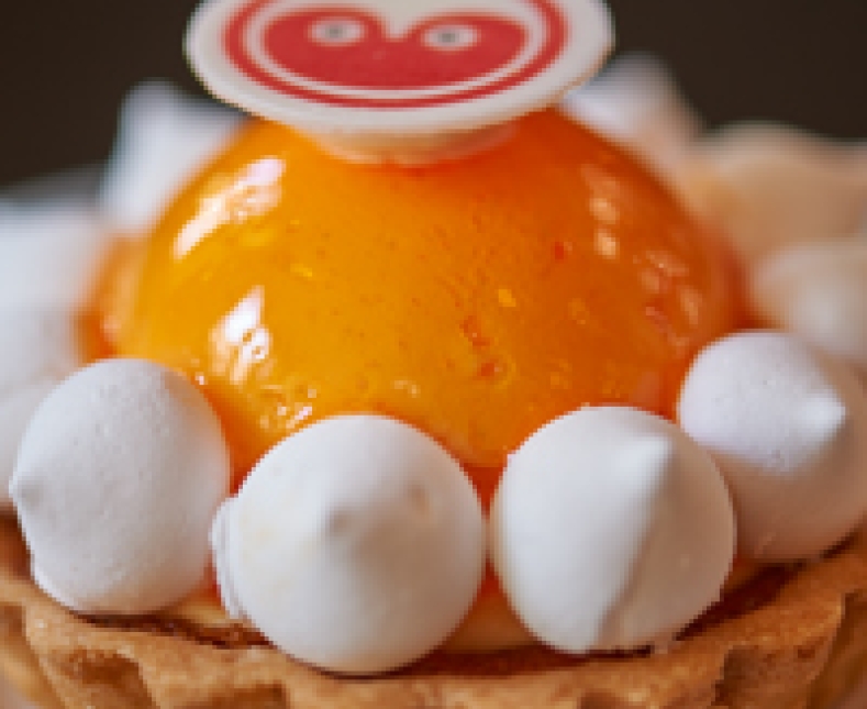 Steensma Najaarsmagazine6128.jpg