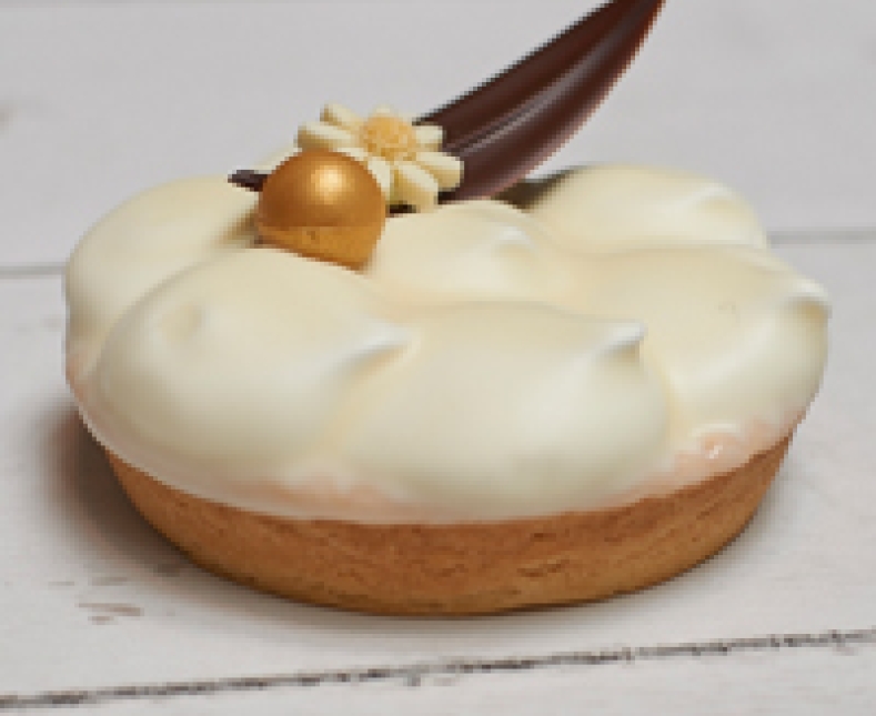 Steensma Najaarsmagazine6458.jpg