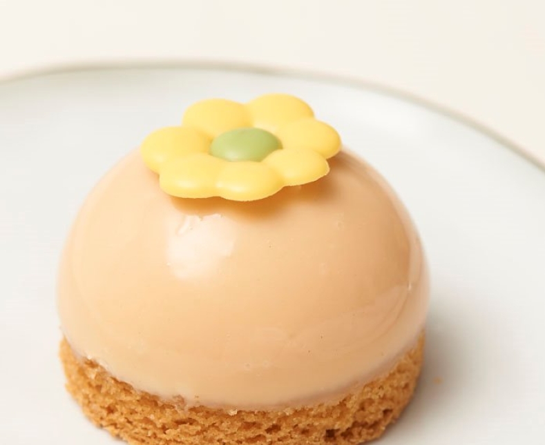 Steensma Souplesse5611 (2).jpg