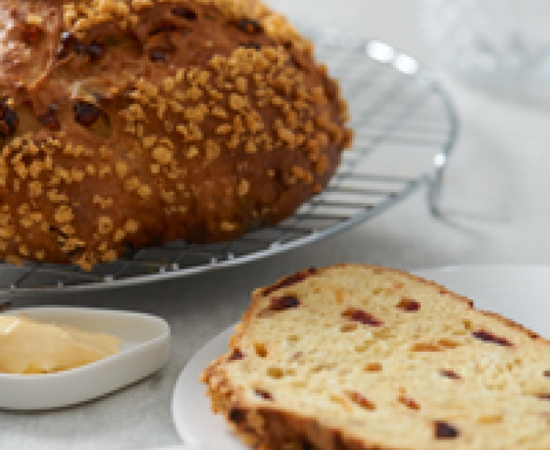 Steensma najaar 2019 brood 15518.jpg