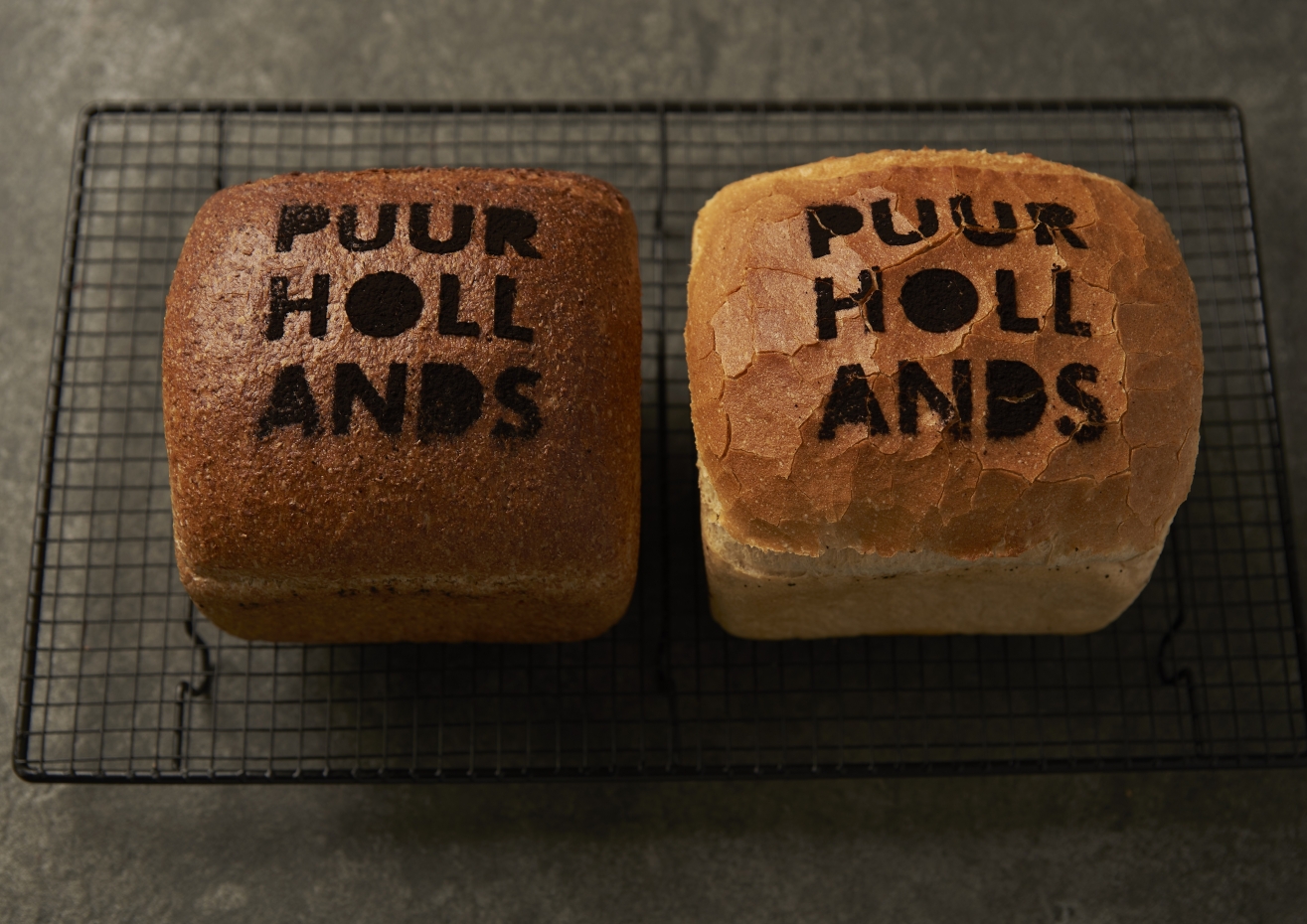 Royal Steensma Inlandse low_0.jpg