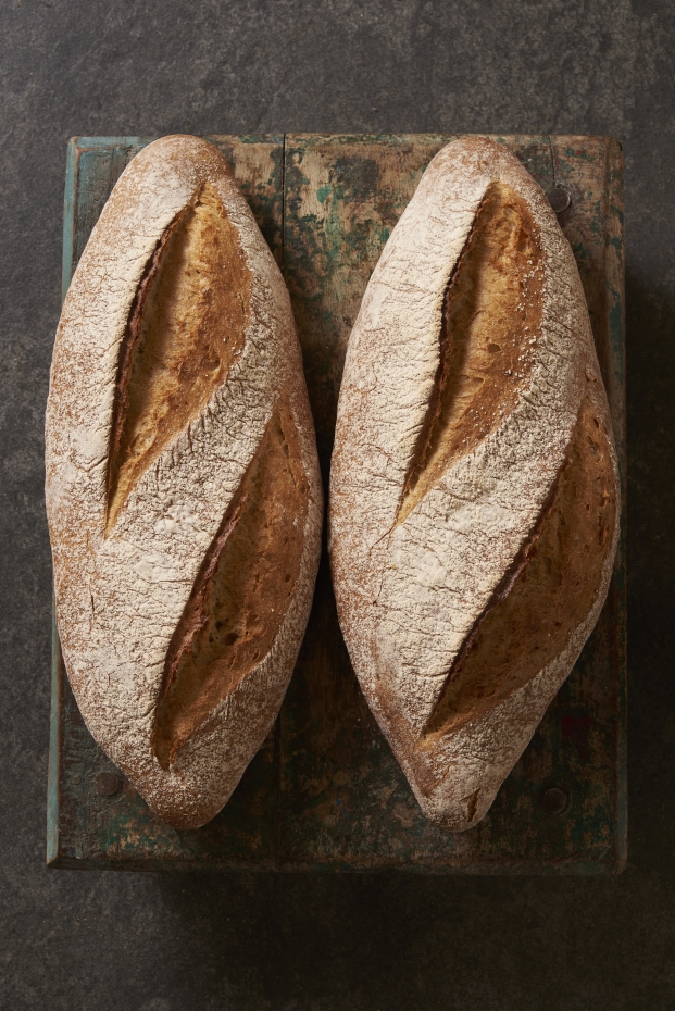 Steensma brood3890.jpg