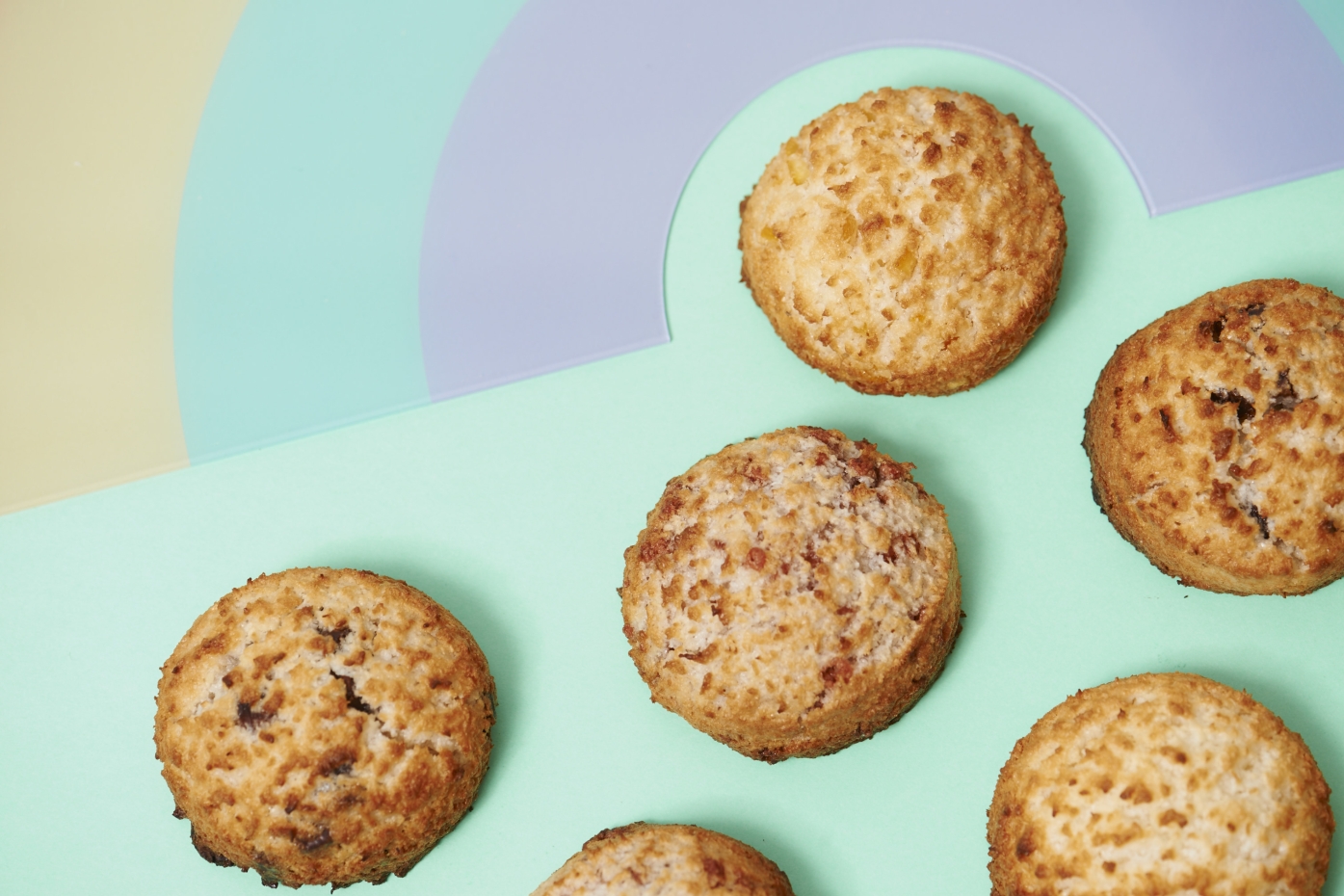 ccSteensma Horecava 202015967.jpg